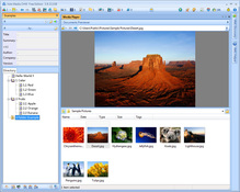 Link and preview file folder in VMC